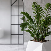 Modern Black Frame Arched Glass Room Divider – Luxury Frosted Glass & Geometric Designer Partition