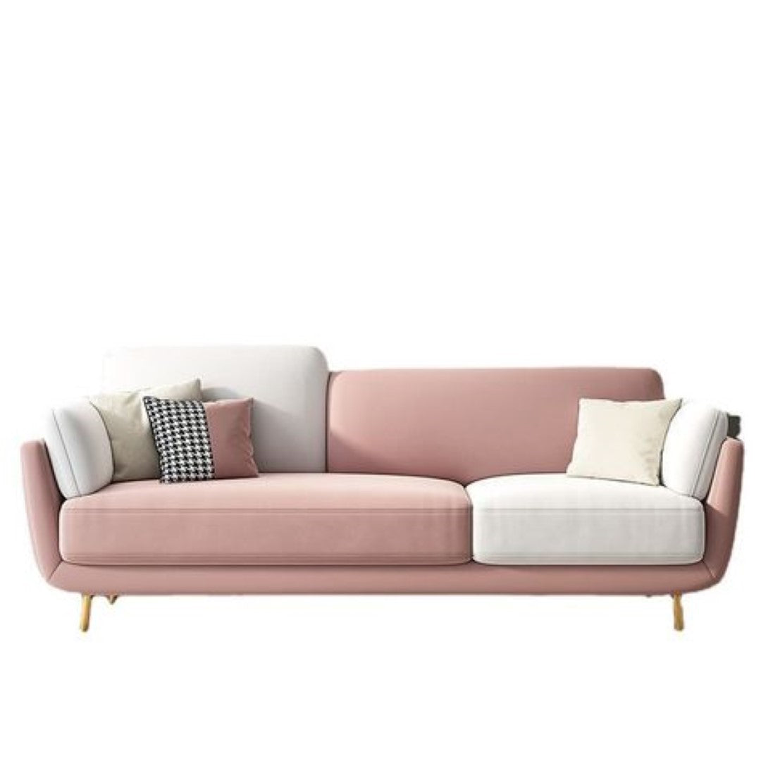 Double Shade Designer Sofa With Beautiful Cushions